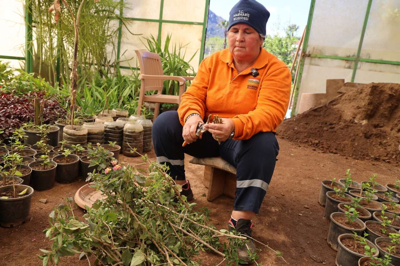 Marmaris Belediyesi Seralarıyla Milyonluk Tasarruf Sağladı 1